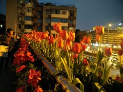 -成都宽窄巷子奎星楼街亚朵X酒店