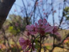 -小南山公园