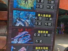 -哈尔滨波塞冬海底世界