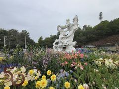 -深圳仙湖植物园