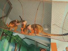 -石家庄市动物园