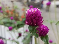 -共青国家森林公园-售票处