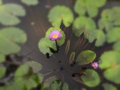 -Club Med地中海俱乐部·桂林度假村