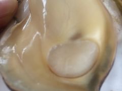 -邹记·美食(斗门店)