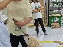 -达爱动物医院·犬猫分区·CT·复杂眼科(远洋山水分院)