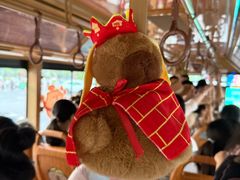 -秋水广场音乐喷泉
