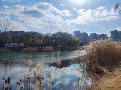 -新江湾城公园