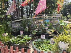 -荔湾湖公园