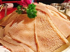 -小龙坎火锅(全球旗舰店)