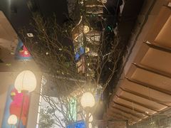 -桂满陇·海市蜃楼·黑金(国金店)