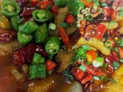 -熊猫家新派川菜(百里一·龙兴集店)