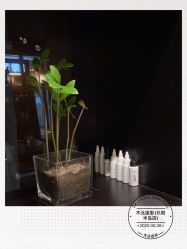 -木北造型