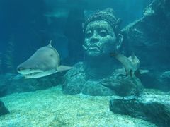 -暹罗海洋世界