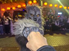 -成都欢乐谷