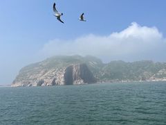 -长岛万鸟岛