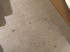 -全季酒店(上海漕河泾店)