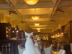 -Salon de Ville浦江汇(上海外滩华尔道夫酒店店)