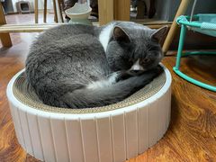 -不作·手工银饰DIY(西红门店)