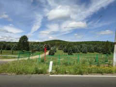 -塞罕坝国家级自然保护区