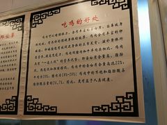 -九斤黄三黄鸡专卖店