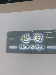 点击看大图 -世田造型