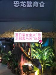 -恐龙探索乐园(磁器口店)