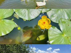 -呈坎景区