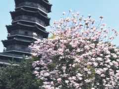 -重庆园博园