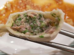 茴香肉水饺-添福来墨鱼饺子 · 海鲜东北菜(泡崖店)