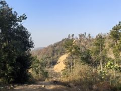 -青龙山国家森林公园