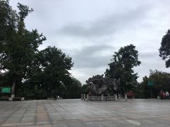 -龙头寺公园