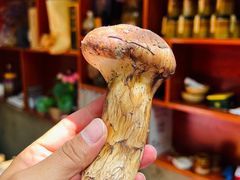 -茶马古道·野生菌清汤黄牛肉(沙溪店)