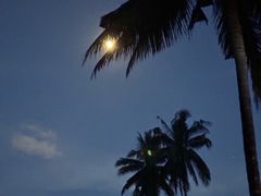 -旺福·贵州酸汤牛肉火锅(陆悦天地店)
