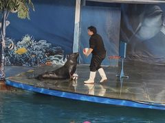 -苏州海洋馆