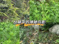 -桂林兴坪漓江