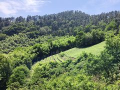 -敬亭山风景名胜区