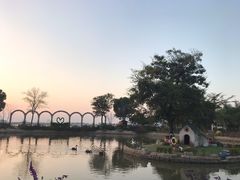 -鹅湖玫瑰文化园