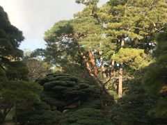 -京都御所