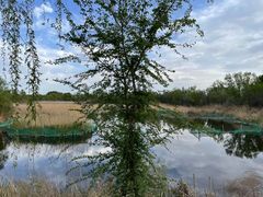 -野鸭湖国家湿地公园