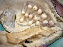 -中国建设银行(北京兴融支行)