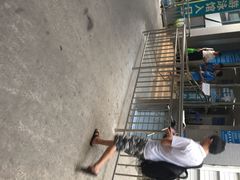奥林匹克体育中心游泳馆-奥林匹克体育中心游泳馆