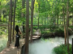-东明山森林公园