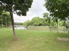 -贡湖湾湿地公园