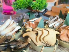 -慢丽江·云南野生菌土鸡锅(付家庄店)