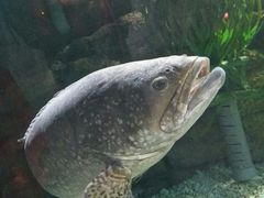 -绍兴梦享海洋公园