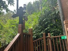 -三亚亚龙湾人间天堂鸟巢度假村