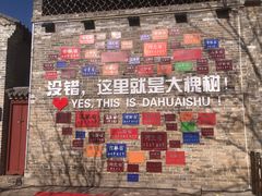 -大槐树寻根祭祖园