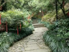 -梦姑塘文化公园