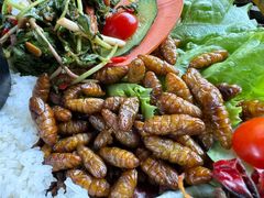 -品德宏·孔雀宴的发源地(金塔园店)