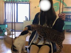 -萌喵咖啡屋(人民东路4号口M16商铺店)